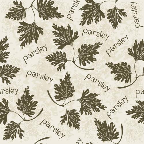 Петрушка. Изображение листья петрушки, надпись parsley на фактурном светлом