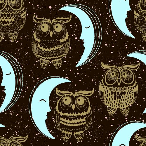 Сова. Изображение мультяшные совы, луна и декоративные пятна-звезды на черном