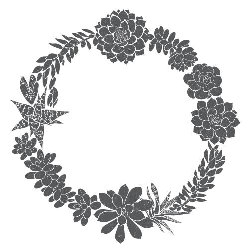 Суккулент. Изображение круглый венок-рамка из суккулентов на белом