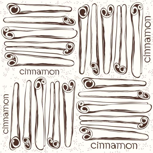 Корица. Вектор палочки корицы, надпись cinnamon на белом