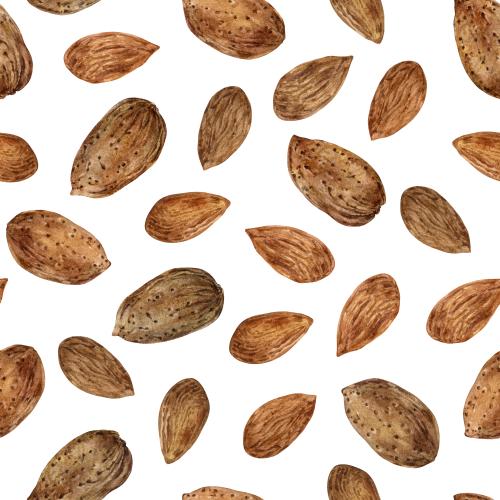 Миндаль. Вектор орехи миндаля на белом