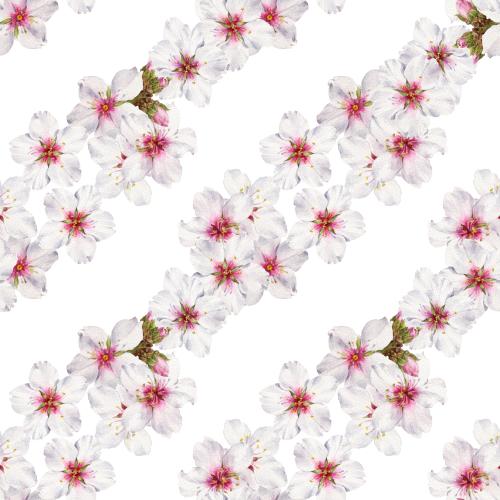 Бутон. Узор цветущий миндаль, акварель на белом, диагональная композиция