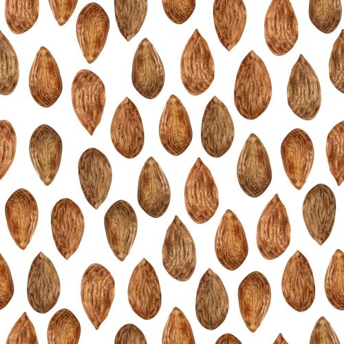 Растровое изображение миндаль, орехи на белом