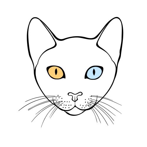Као-мани кот. Вектор кот као-мани, милая мордочка на белом