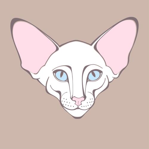 Кот ориентал. Вектор кот ориентал, милая мордочка на пастельном коричневом