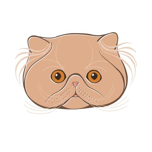 Персидский кот. Вектор персидский кот, цветная милая мордочка на белом