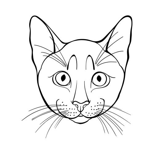 Кот. Клипарт кошачья мордочка на белом