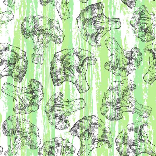 Овощи. Изображение брокколи, фактурные зеленые полосы на белом